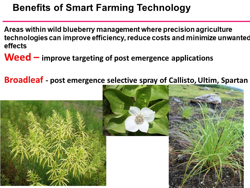 Dr. David Yarborough Precision Agriculture Research Program Dalhousie University